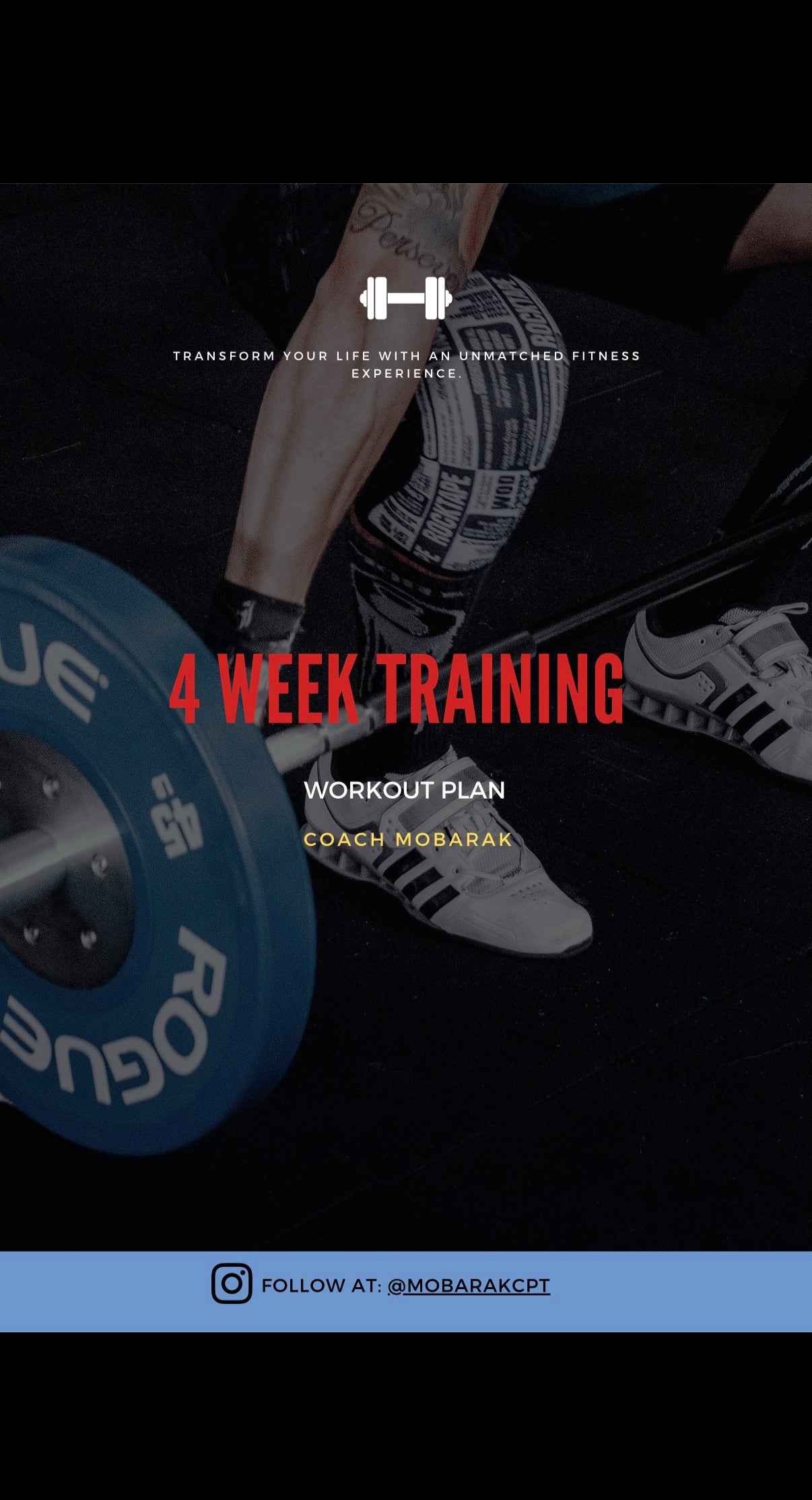 1 month Training Plan